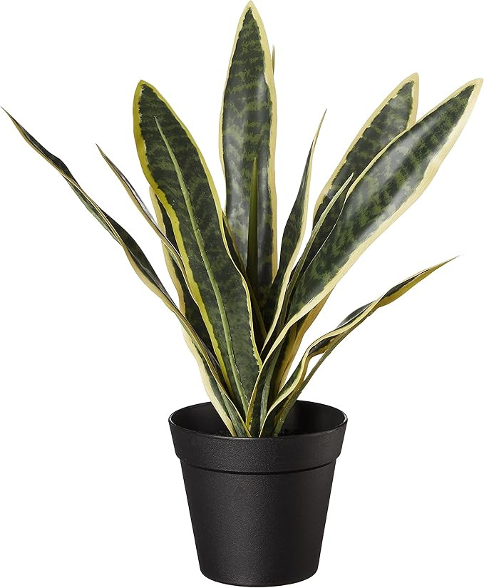 Amazon Basics Artificial Fake Sansevieria Bonsai Snake Plant with Plastic Planter Pot, 15.7-Inch,... | Amazon (US)