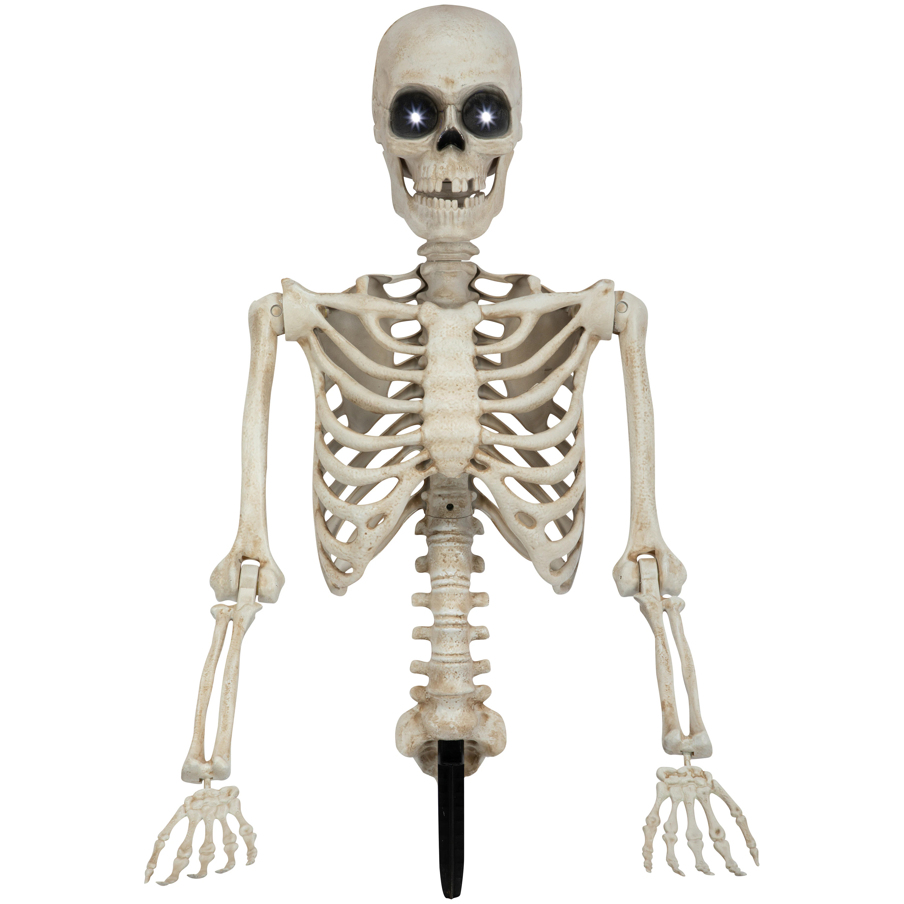 Haunted Living 37.4-in Freestanding Lighted Skeleton Door decoration one_size in White | 553406 | Lowe's