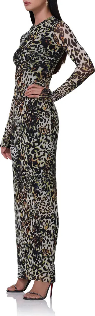 Didi Long Sleeve Mesh Maxi Dress | Nordstrom