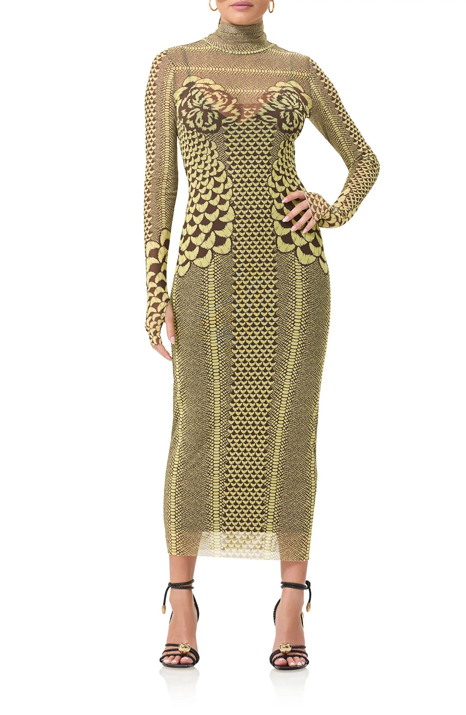 Shailene Long Sleeve Turtleneck Mesh Dress | Nordstrom
