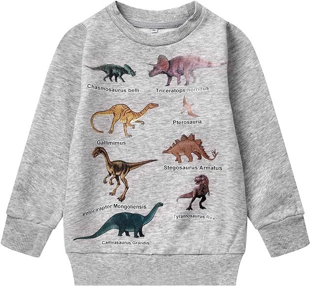 Boys Cartoon Sweatshirts Long Sleeve Crewneck Pullover Toddler Kids Winter Warm Shirt 3t-8t | Amazon (US)