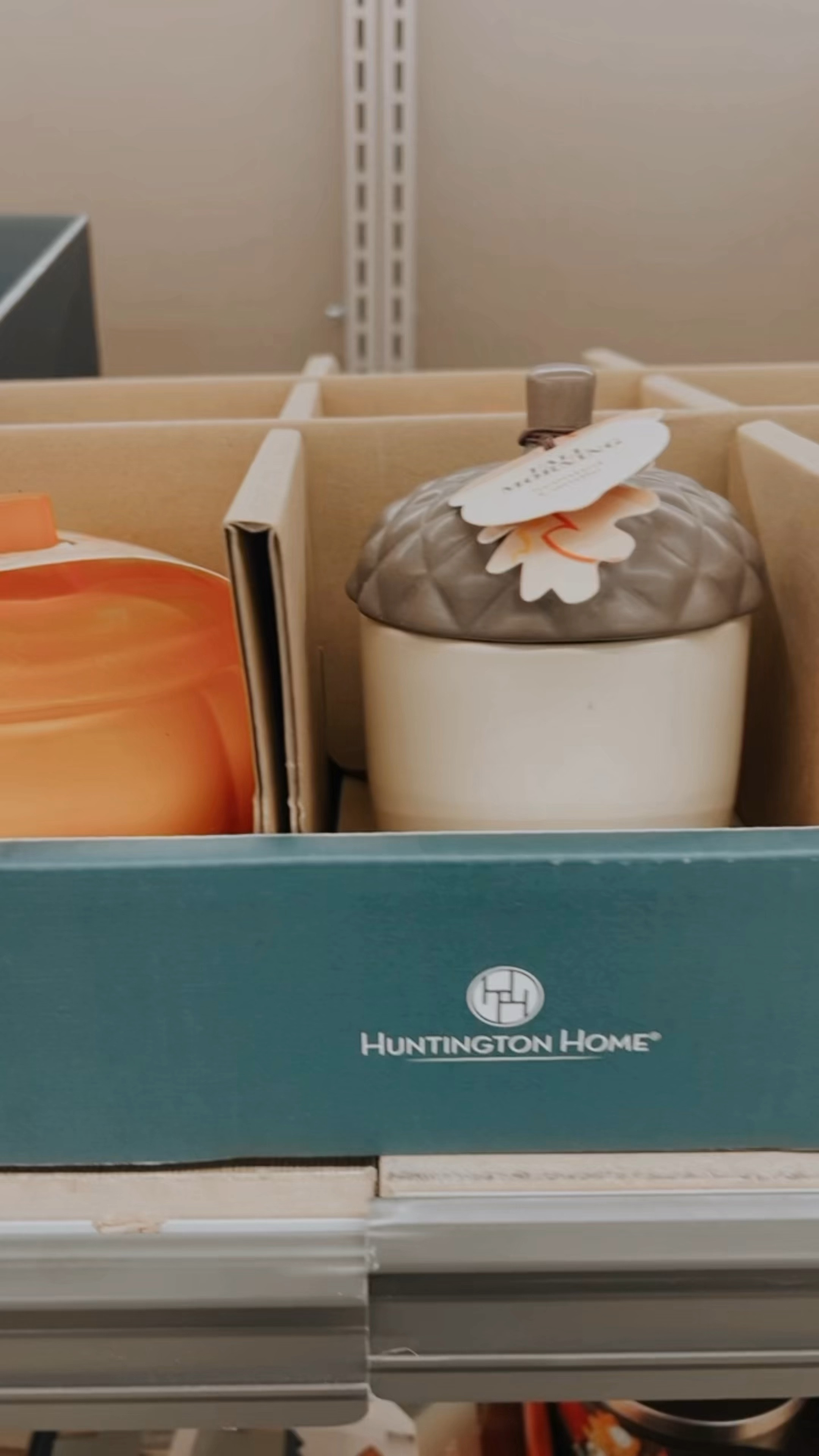 The cutest fall decor finds and all under $9 at your local Aldi’s ✨

#LTKHome #LTKSeasonal #LTKFamily