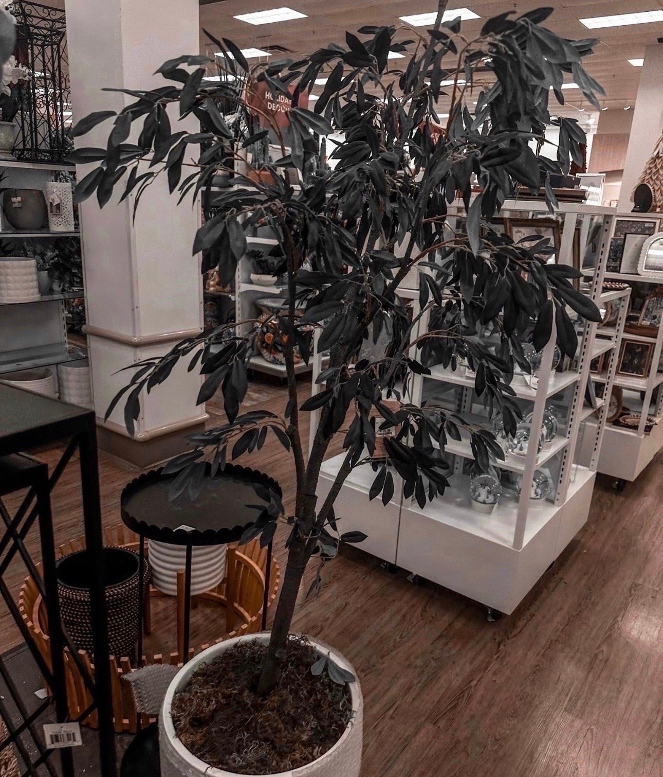 Found the perfect "forever" greenery! 🌿 This olive tree adds that high-end designer look without the maintenance. Perfect for filling that empty corner in your living room or entryway.

#LTKHome