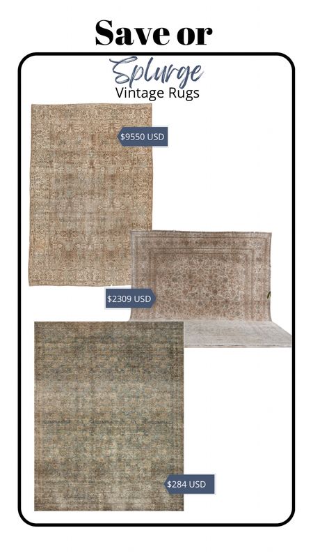 Save or splurge, vintage rug edition!  The first two rugs are vintage and the last one is a reproduction.  The quality and age is obviously very different on these but all are beautiful!  

Rugs, Loloi rugs, amber Lewis rugs, vintage rug 

#LTKhome