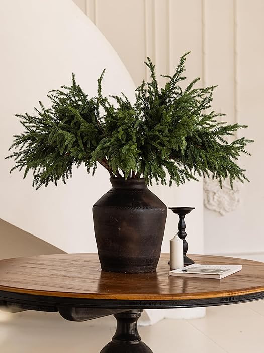 MISSPIN 10 Pcs 31 Inches Norfolk Pine Branches, Artificial Christmas DIY Crafts Faux Branches for... | Amazon (US)