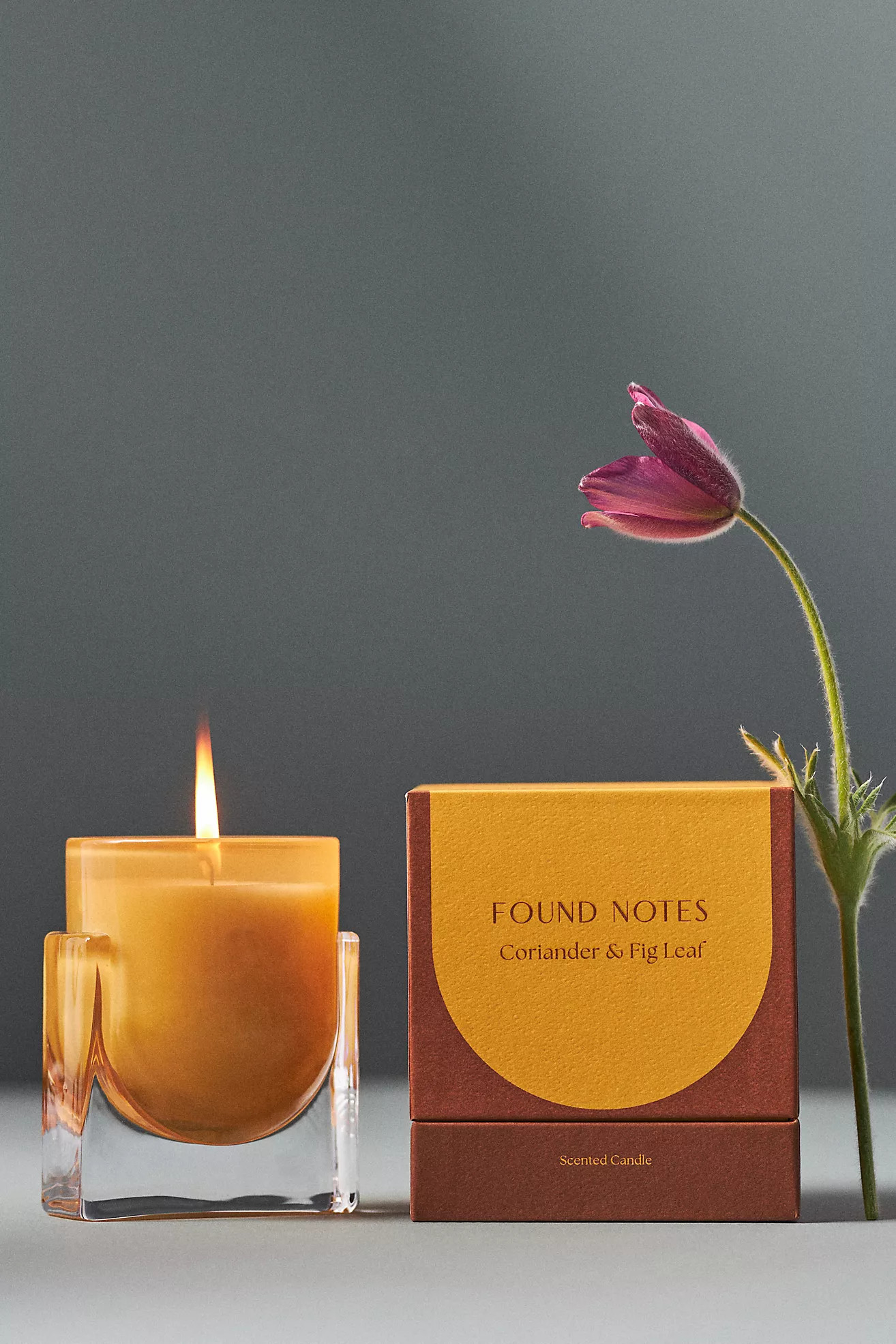 Found Notes Fresh Coriander & Fig Leaf Boxed Candle | Anthropologie (US)