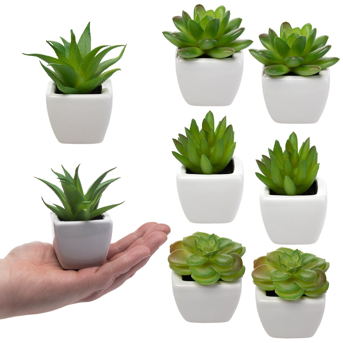 Home Trends 8 Fake Succulent Plants, Small Artificial in White Ceramic Pots | Walmart (US)