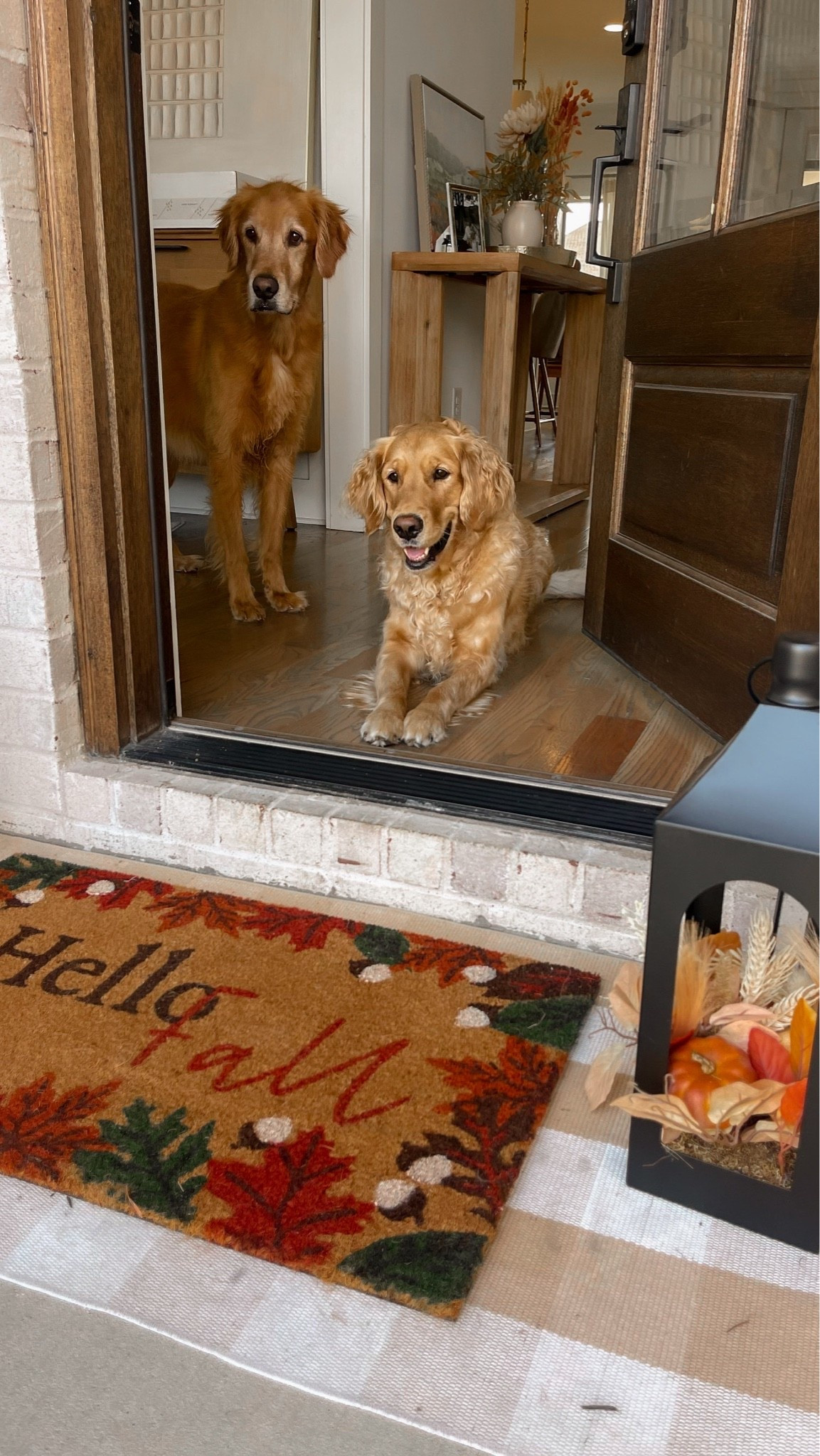 Fall Front Porch Decor with Layered Doormats 🍂

Fall front porch decor, Fall doormat, Hello fall doormat, Layered doormat, Fall outdoor rug, Fall entryway decor, Autumn porch decor, Neutral fall decor, Fall porch ideas, Pumpkin porch decor

#LTKHome #LTKSeasonal #LTKdayinmylife