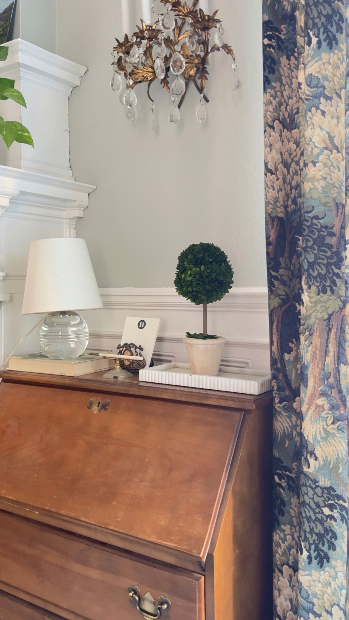 Finally found a perfect little topiary! 

#LTKHome