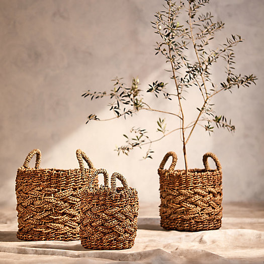 Braided Woven Handled Planter, 14" | Terrain