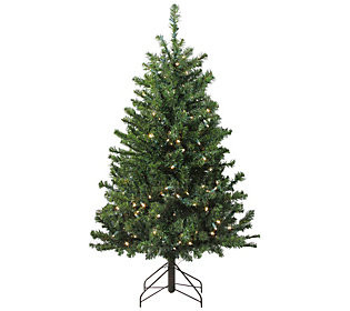 Northlight Pre-Lit LED Canadian Pine Artificial Christmas Tree | QVC