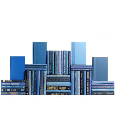 Modern Denim Book Wall | Wayfair North America
