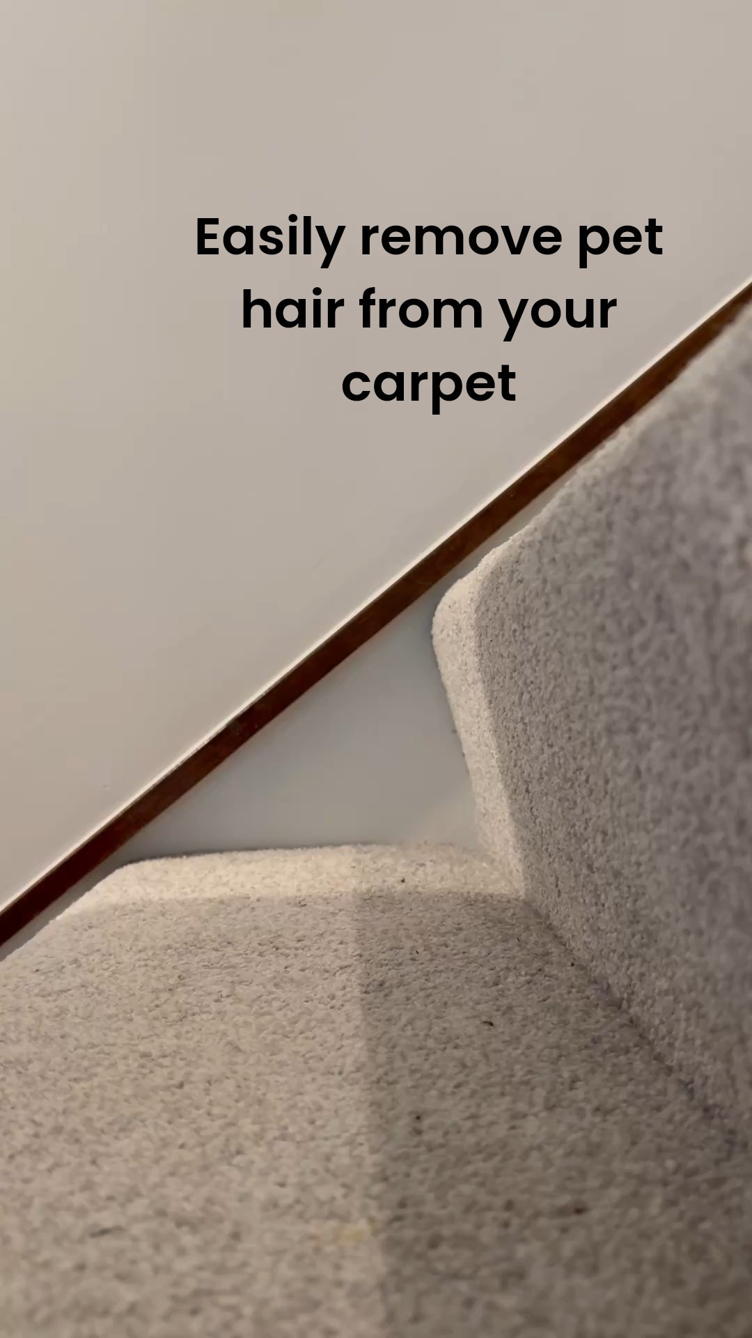 Best $7 I’ve ever spent! 

#LTKWatchNow #LTKPets #LTKHome