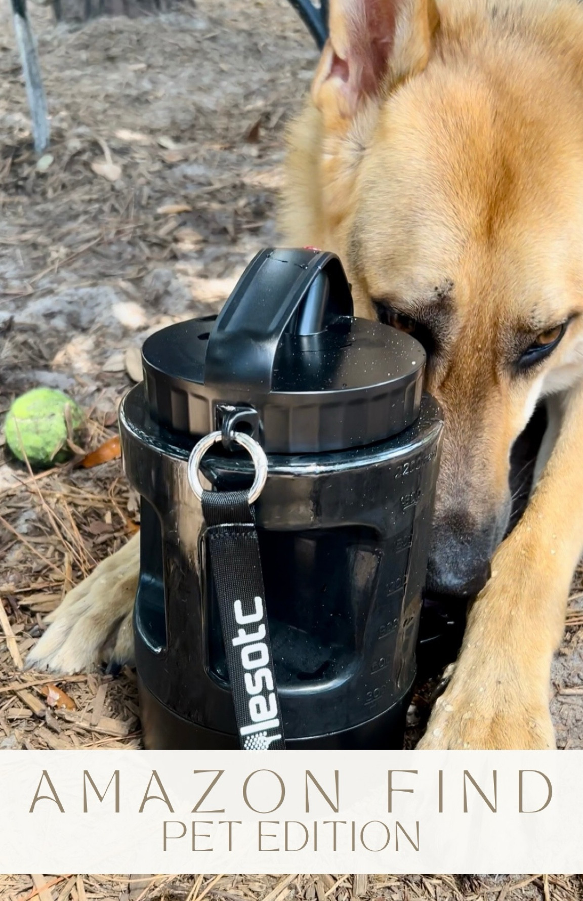 Dog water bowl! Large dog water dispenser with swivel bowl attached on bottom. Great for hiking, beach trips, long walks, dog parks. Clean water for pets. #founditonamazon

#LTKActive #LTKFitness #LTKFindsUnder50
