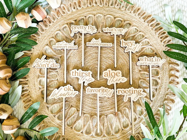 Wooden Funny Plant Markers, Plant Lady Gift, Plant Lover Gift, Punny Plant Stakes, Punny Plant Ta... | Etsy (US)