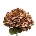 My Texas House Fall Faux Hydrangea Bundle, Brown, 20" | Walmart (US)