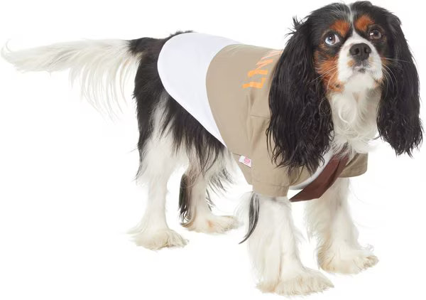 Marvel 's Loki Varient Lightweight Dog & Cat Jacket | Chewy.com