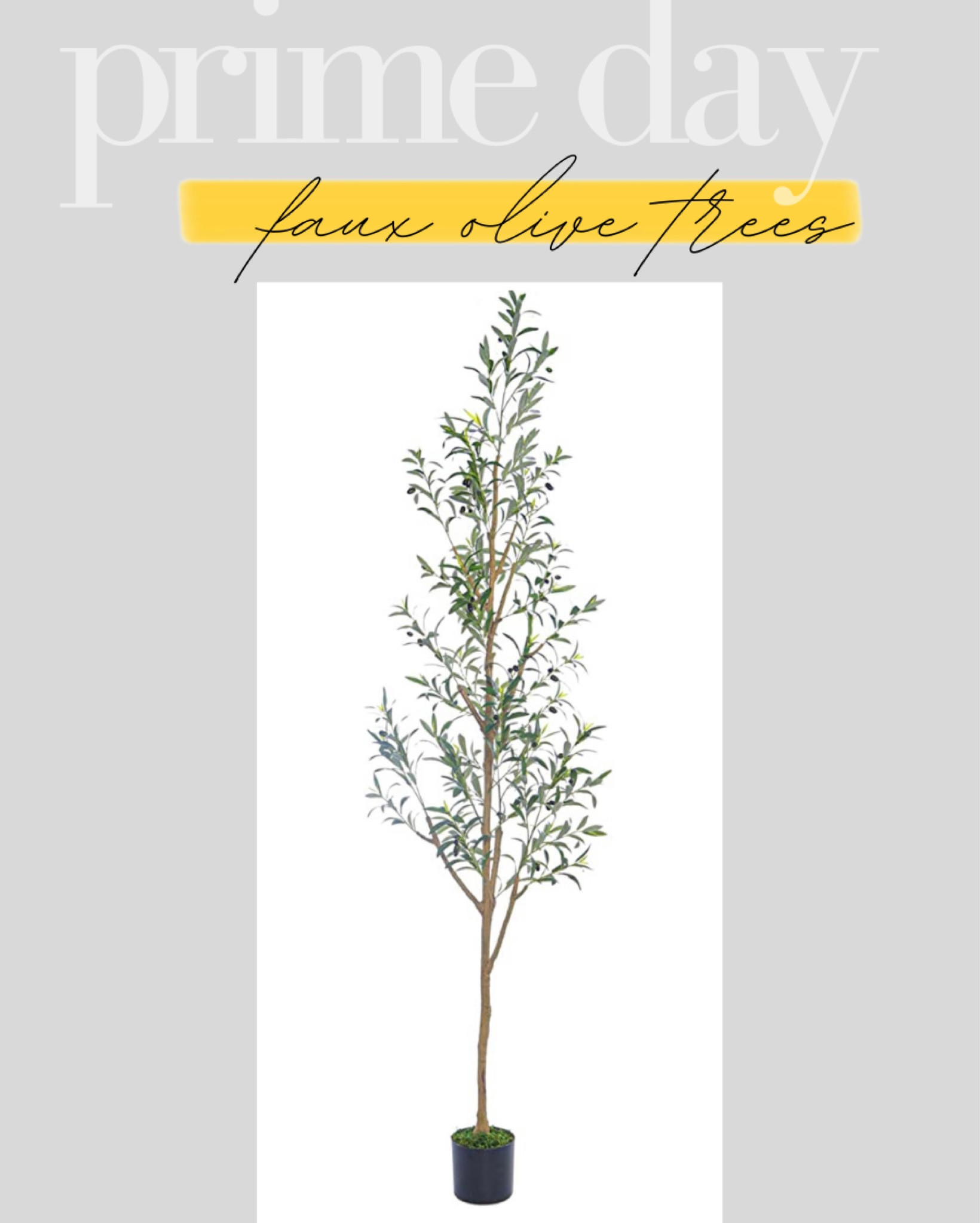 Prime day faux olive trees! 

Amazon, olive trees, home decor, home style, sale, deal 

#LTKhome #LTKsalealert #LTKxPrimeDay