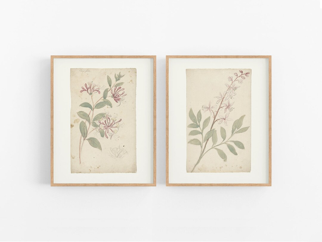 Set of Two Flower Prints / Vintage Art Print / Botanical Print / Art Print / Vintage Print / Flow... | Etsy (US)