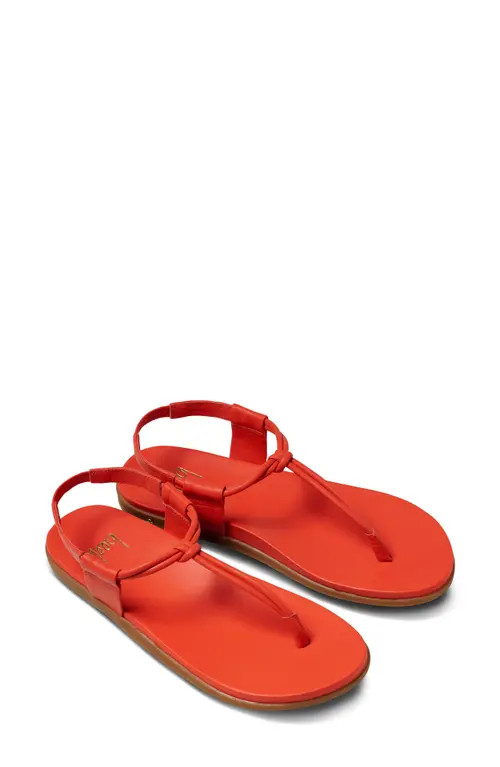 Beek Mango Ankle Strap Sandal in Tomato at Nordstrom, Size 6 | Nordstrom