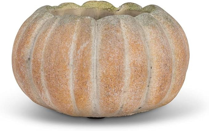 Abbott Collection Small Low Cement Pumpkin Indoor and Outdoor Planter Pot (5.5" W, 3.5" Opening) | Amazon (US)