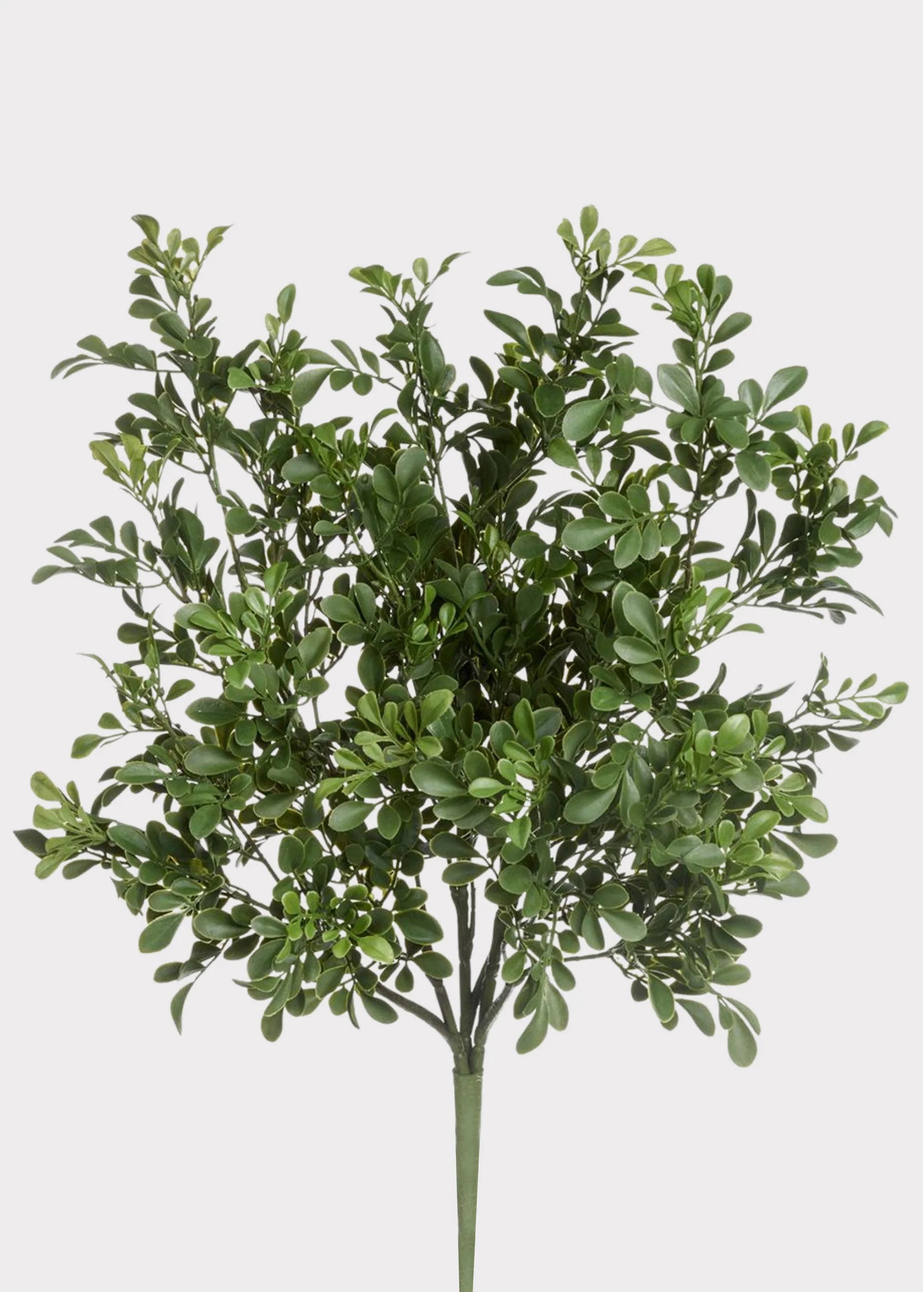 UV Treated Boxwood Bush | Premium Fake Outdoor Plants | Afloral | Afloral