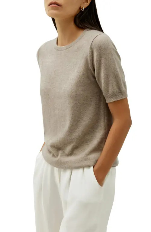 Lilysilk Women's Baby Cashmere Crew Neck Knit Top in Camel at Nordstrom, Size Medium | Nordstrom