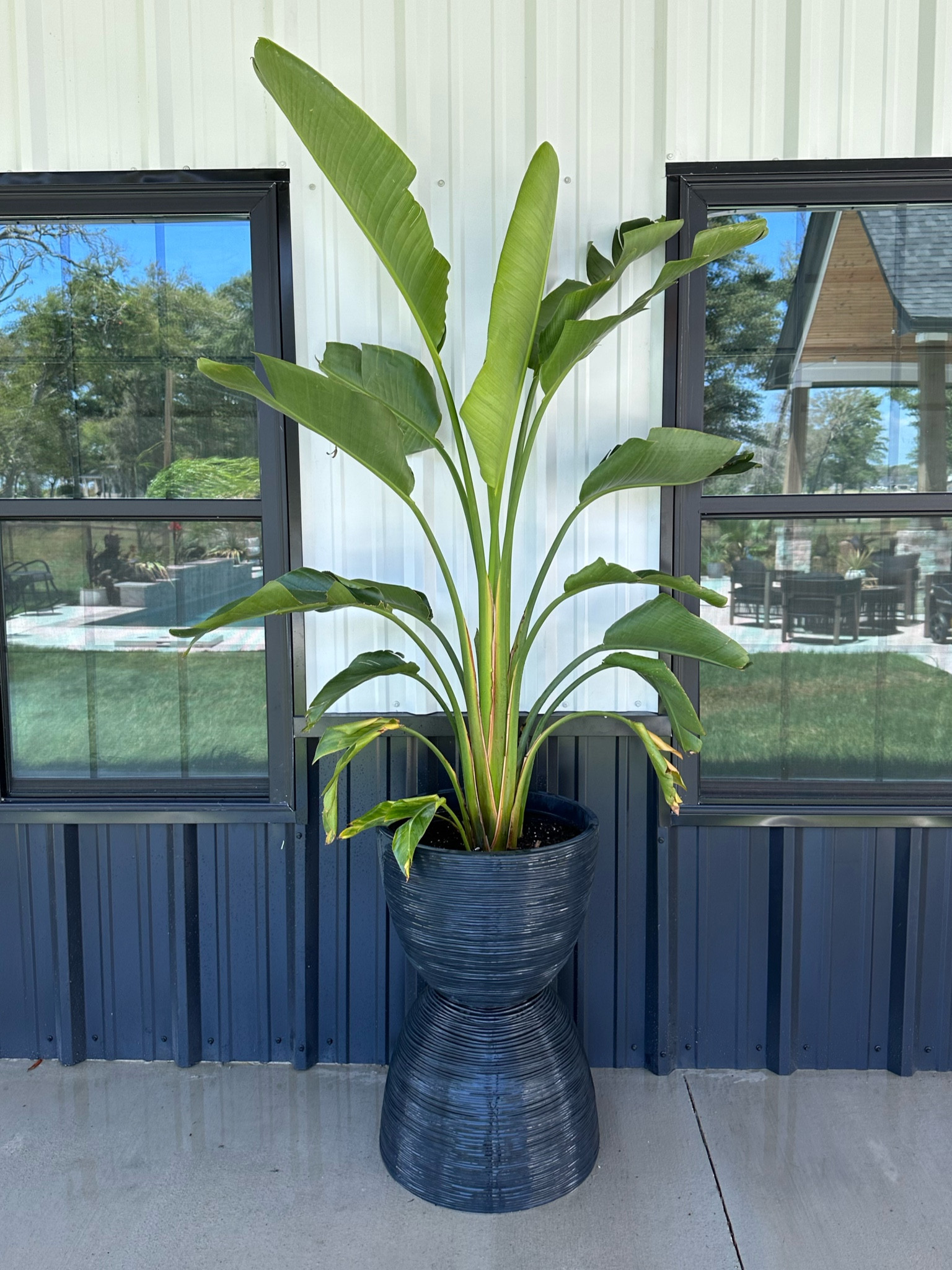 DIY modern planter made with the pots linked here! I used the largest size from Lowe’s but I’ve used the smaller one too and they are great for small spaces. 

#LTKeurope #LTKhome #LTKSeasonal