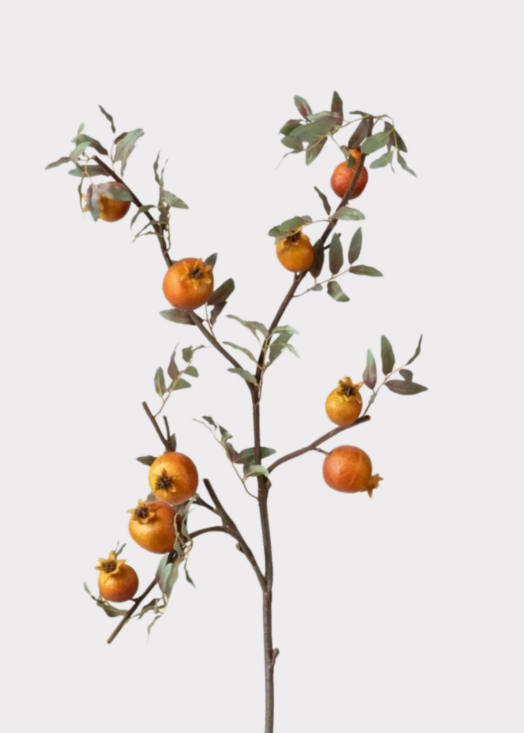 Dried Look Faux Pomegranate Branch | Afloral Botanicals | Afloral