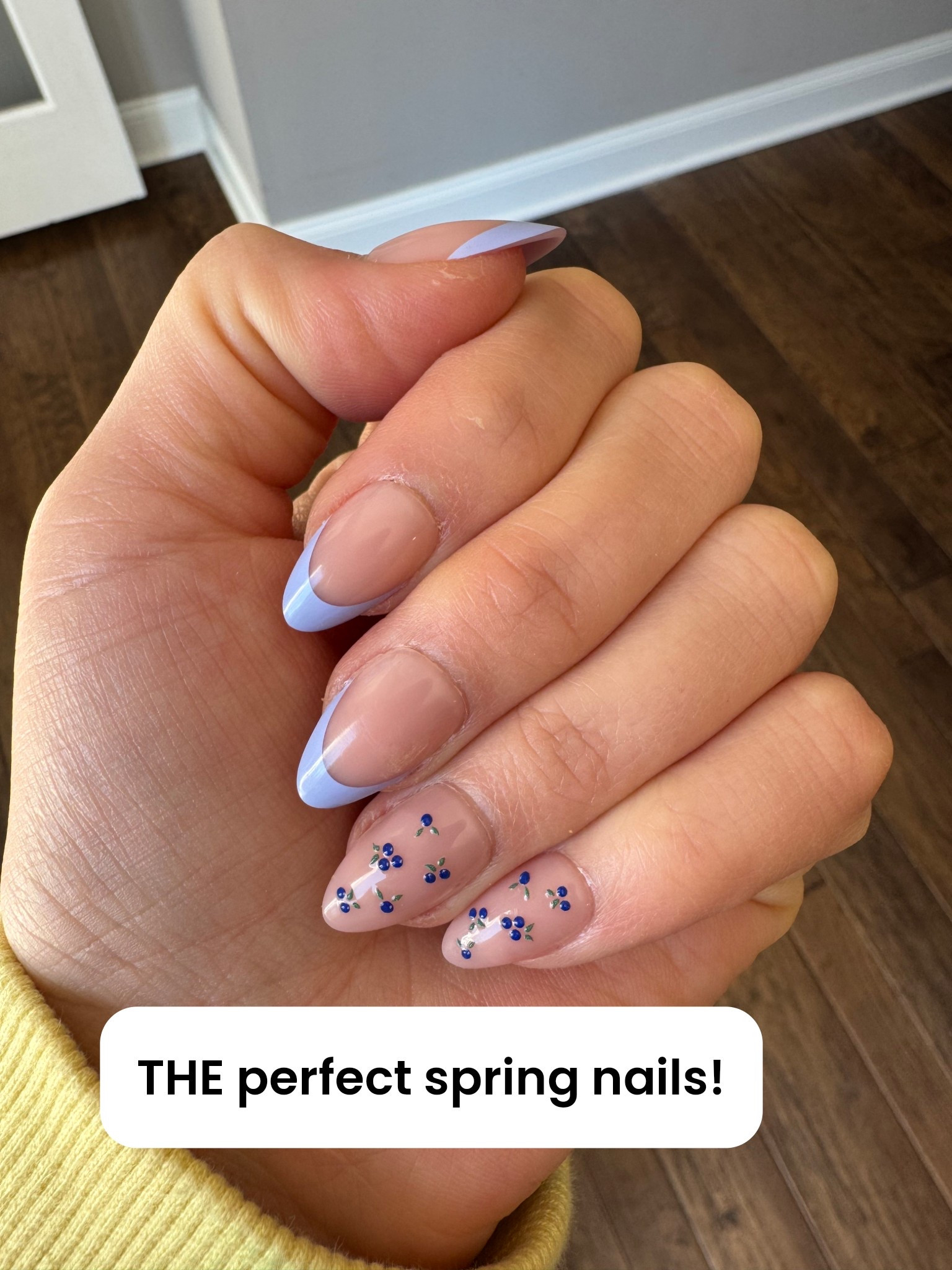 Obsessed with these spring nails! Linking my next set too because they’re adorable! 💅🏼

press on nails, blue tip nails, blueberry nails, almond shape nails, spring nails, fruit nail design, DIY manicure, glue on nails, affordable nails, trendy nails 2026, cute nail ideas, short almond nails, blue French tip nails, almond nails, glamnetic nails 

#LTKselfcare #LTKBeauty #LTKSeasonal