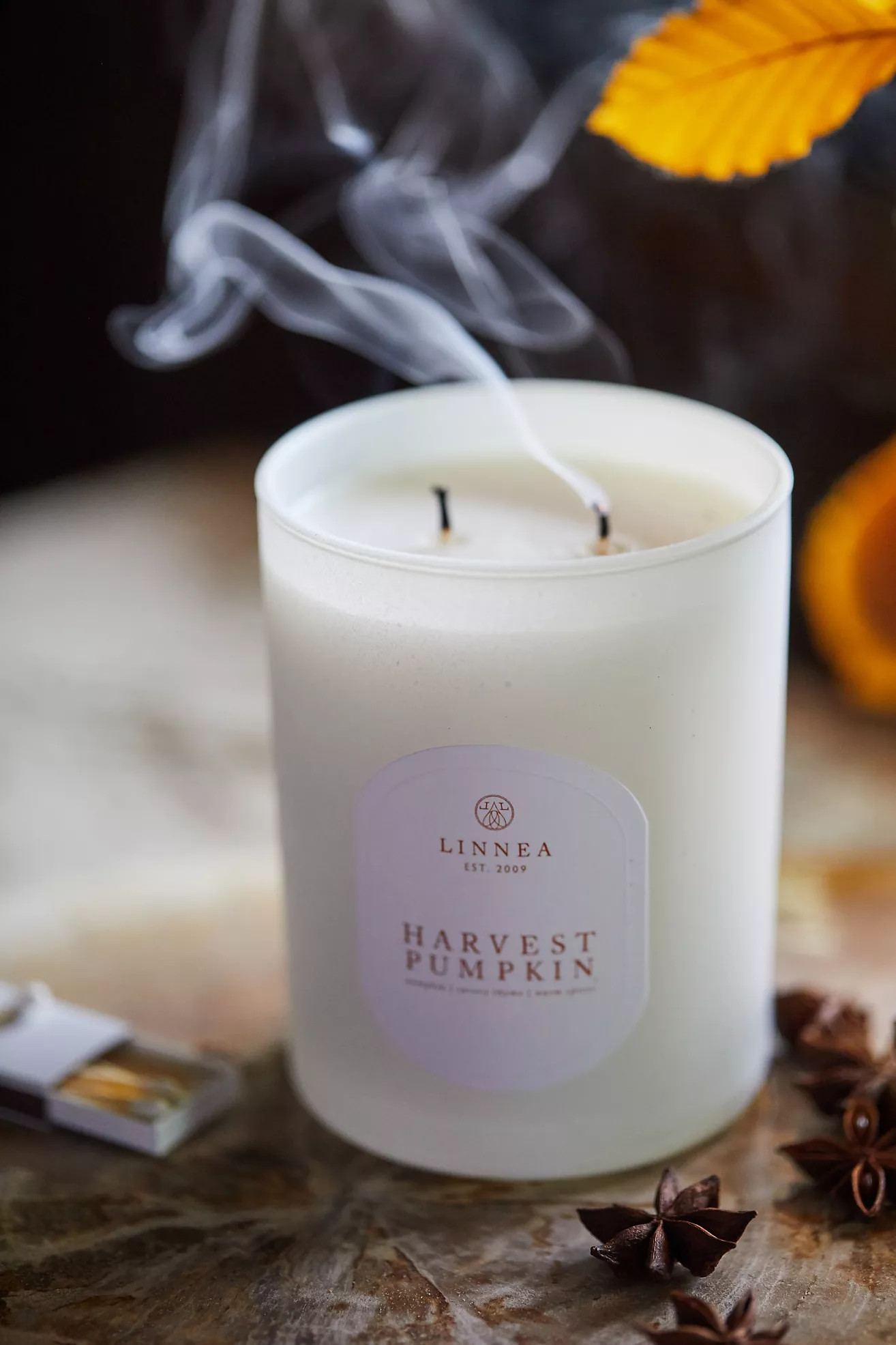 Linnea Candle, Harvest Pumpkin | Terrain