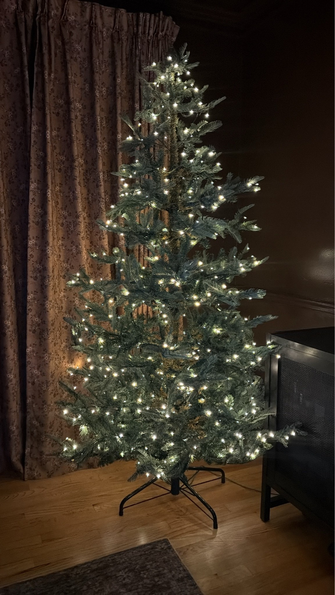 The king noble fir is such a classic Christmas tree! This is with no fluffing straight out of the. Ag and 4 years old! @kingofchristmas