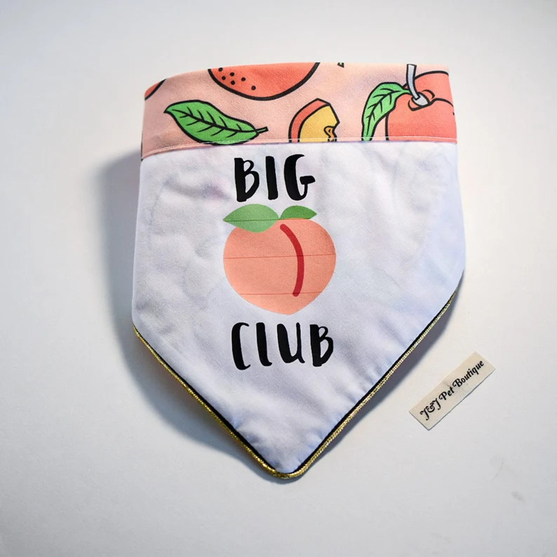 Peach summer dog bandana, fruit dog bandana, | Etsy (AU)