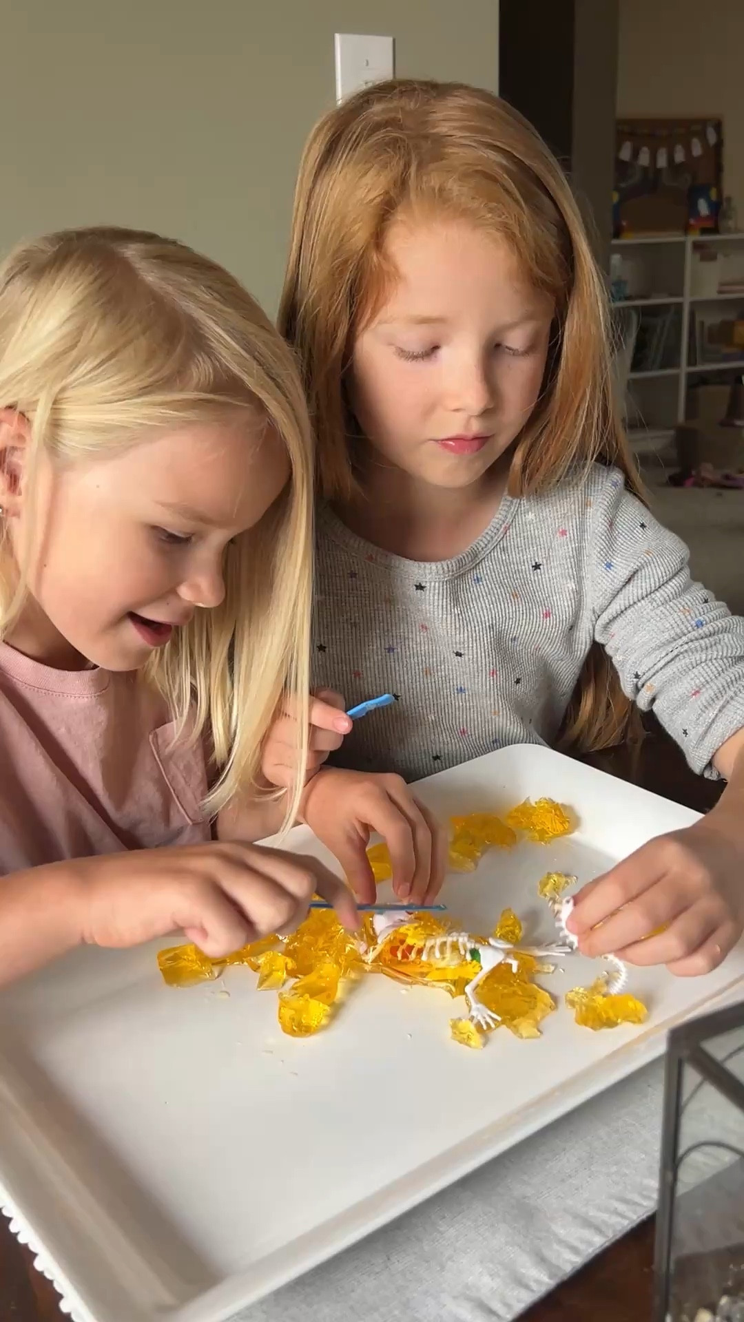 Dissection kit🦎🐸

#LTKKids #LTKmomlife