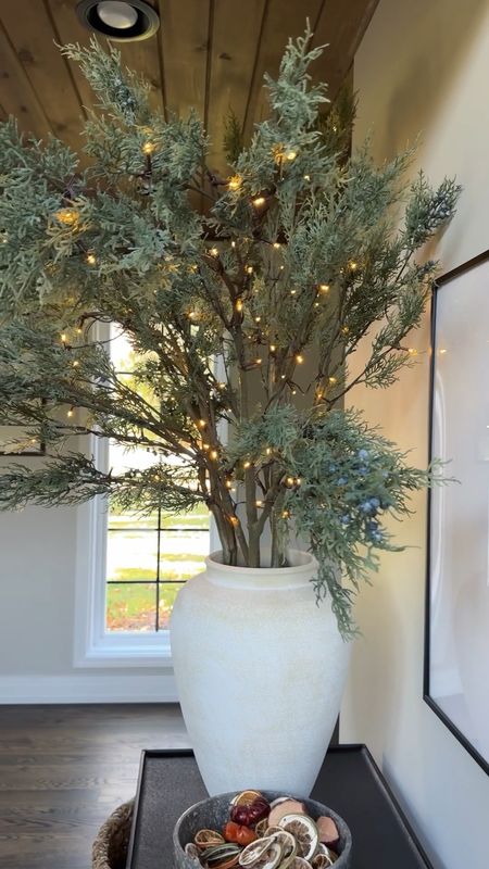 If you’re still looking for some holiday greenery, or maybe for the winter season too, these pre-lit juniper branches are stunning! Tall, amazing quality and still 20% off right now! 

#LTKsalealert #LTKhome #LTKHoliday