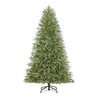 Home Accents Holiday 7.5 ft Jackson Noble Christmas Tree W14N0202 - The Home Depot | The Home Depot