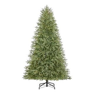 7.5 ft Jackson Noble Christmas Tree | The Home Depot