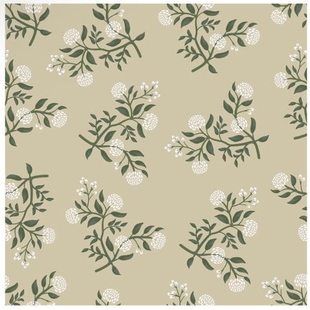 Floral North and finch wallpaper 

#LTKhome