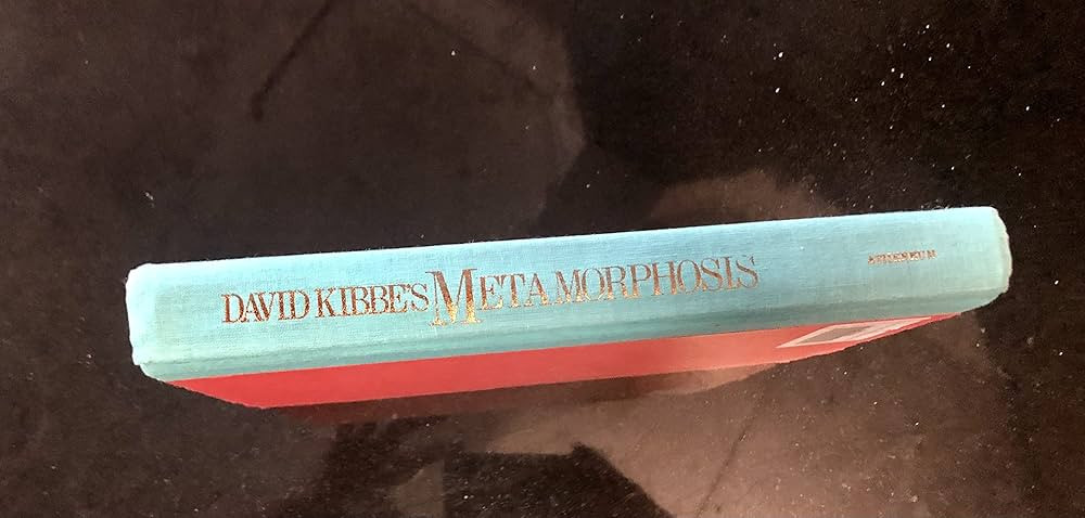 David Kibbe's Metamorphosis: Discover Your Image Identity and Dazzle As Only You Can | Amazon (BR)