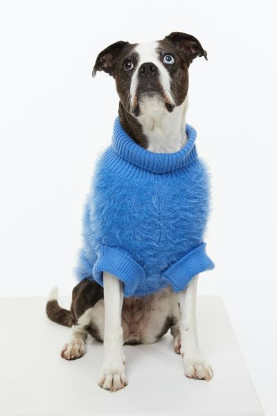 Fluffy Dog Sweater | H&M (US + CA)