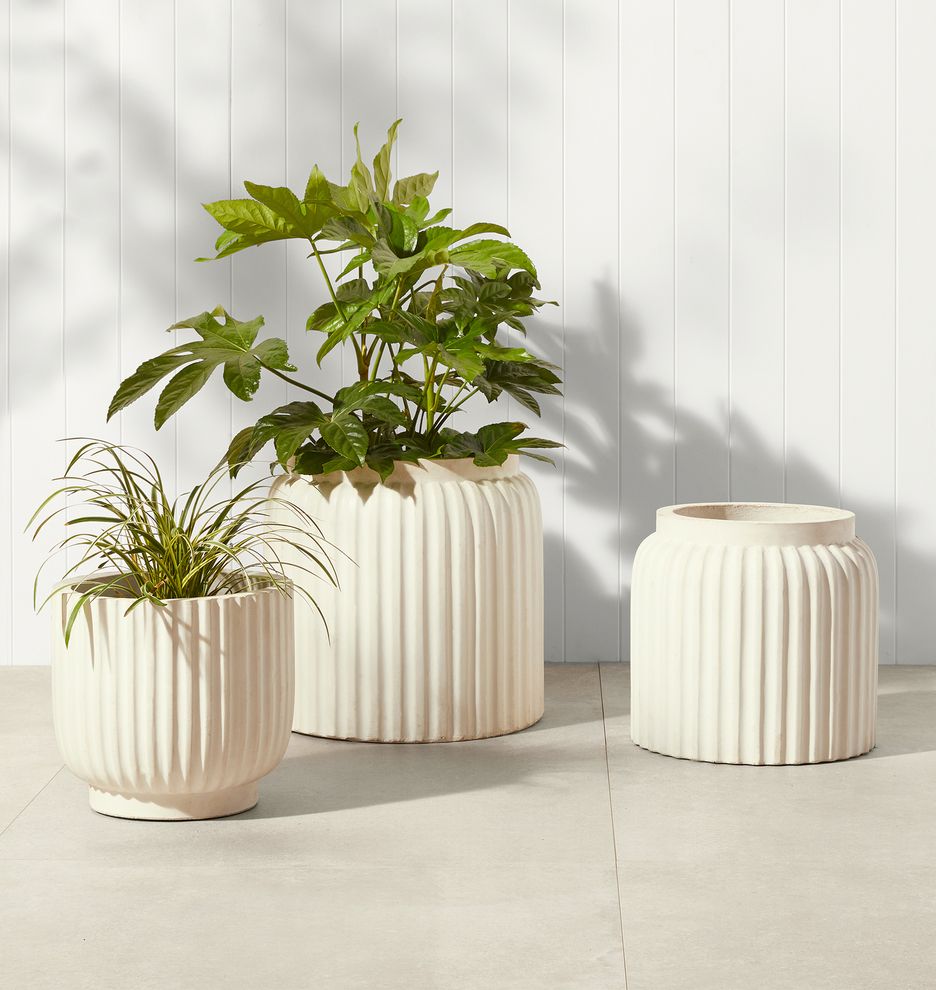 Concrete Fluted Planter | Rejuvenation