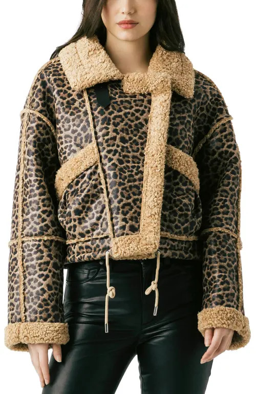 BLANKNYC Bonded Leopard Print Faux Shearling Moto Jacket in In The Shadows at Nordstrom, Size X-Small | Nordstrom
