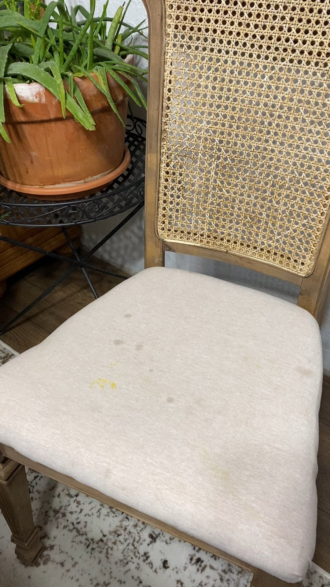Gearing up for spring cleaning! The Little Green Machine - a must have! This little spot cleaner does a fantastic job of removing stains without being too rough on your furniture. P.s it smells amazing!

#LTKGiftGuide #LTKMostLoved #LTKhome