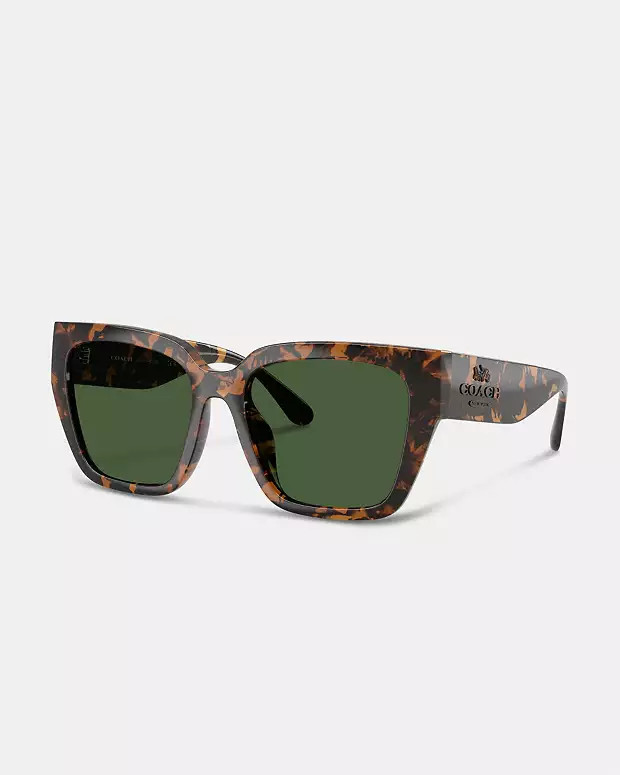 Oversized Cat Eye Sunglasses | Coach Outlet US