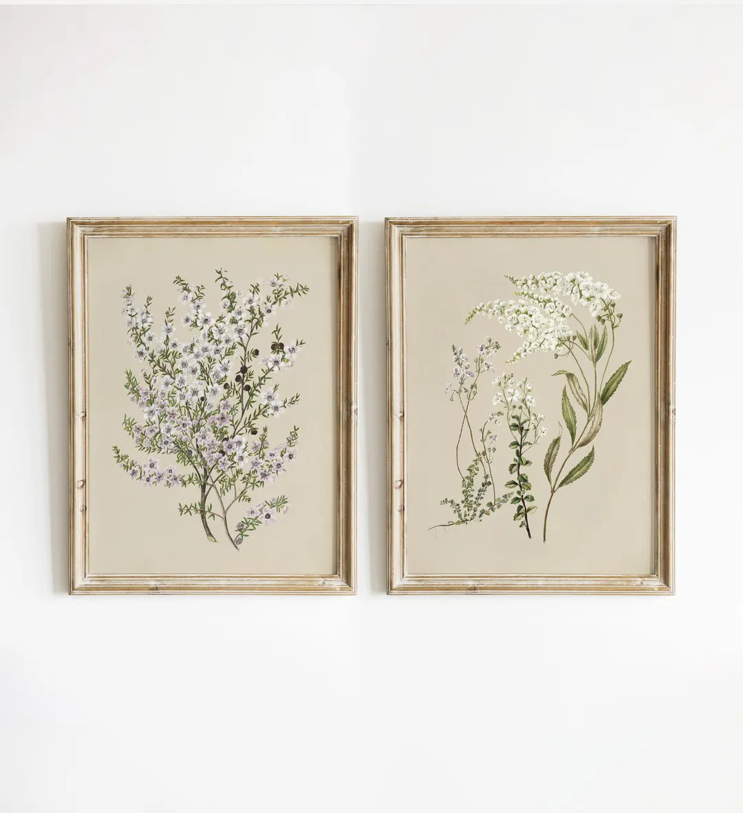 Vintage Botanical Print Set of Two, Flower Art Print, Beige Tones Print Set of Two, Floral Art Pr... | Etsy (US)