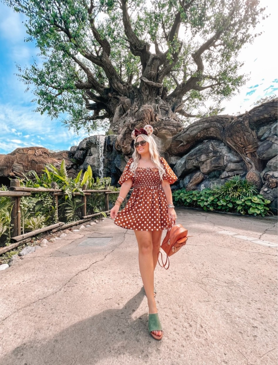 Animal kingdom at Disney world outfit idea

Disney world outfit inspo - Disney world - dresses for Disney world - polka dot dress 

#LTKHoliday #LTKfamily #LTKHalloween