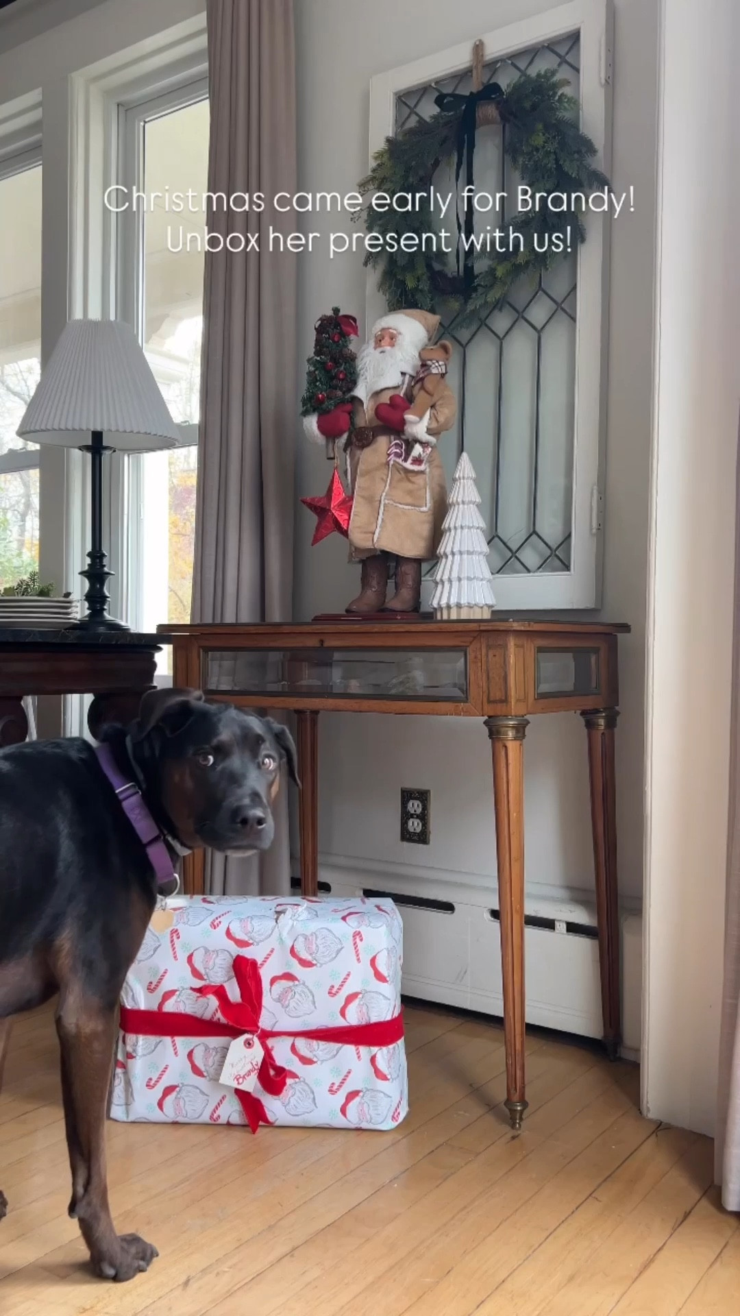 Christmas came early for Brandy!  Do you give your dog a new bed for Christmas every year?  We often do!  She had fun unboxing this sofa bed with me!  Love how she paid attention to every step and tested out each part of the bed until it was put together! 

Soft cozy fabric, waterproof, a washable cover and so comfortable! She loves watching the world go by from this window so for now it will be her downstairs bed!  My dogs have always loved the sofa beds with sides to rest their heads on!  This one is perfect in Brandy & I’s opinion! Thanks Santa! 
.
.
.
#christmasgiftforpuppy #doggifts #dogbed #waterproofdogbed #washablecover #ltkpet
#dogsofinstagram #gifted #christmascameearly #santadog  #blackfriday #christmaspresent #decorateyourhomeforchristmas

#LTKHoliday #LTKCyberWeek #LTKGiftGuide