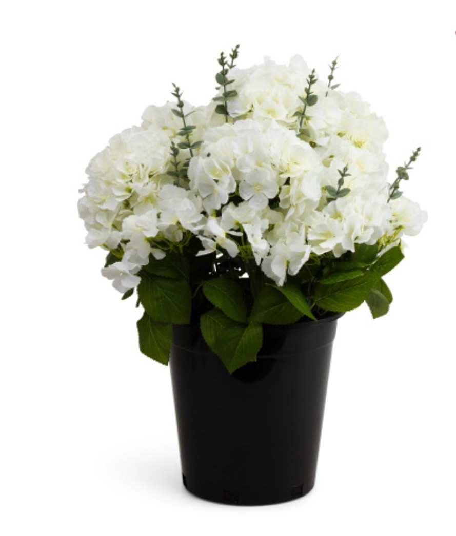 Prettiest faux florals! #porch #spring #florals #fauxfloral

#LTKFindsUnder100 #LTKHome #LTKSaleAlert