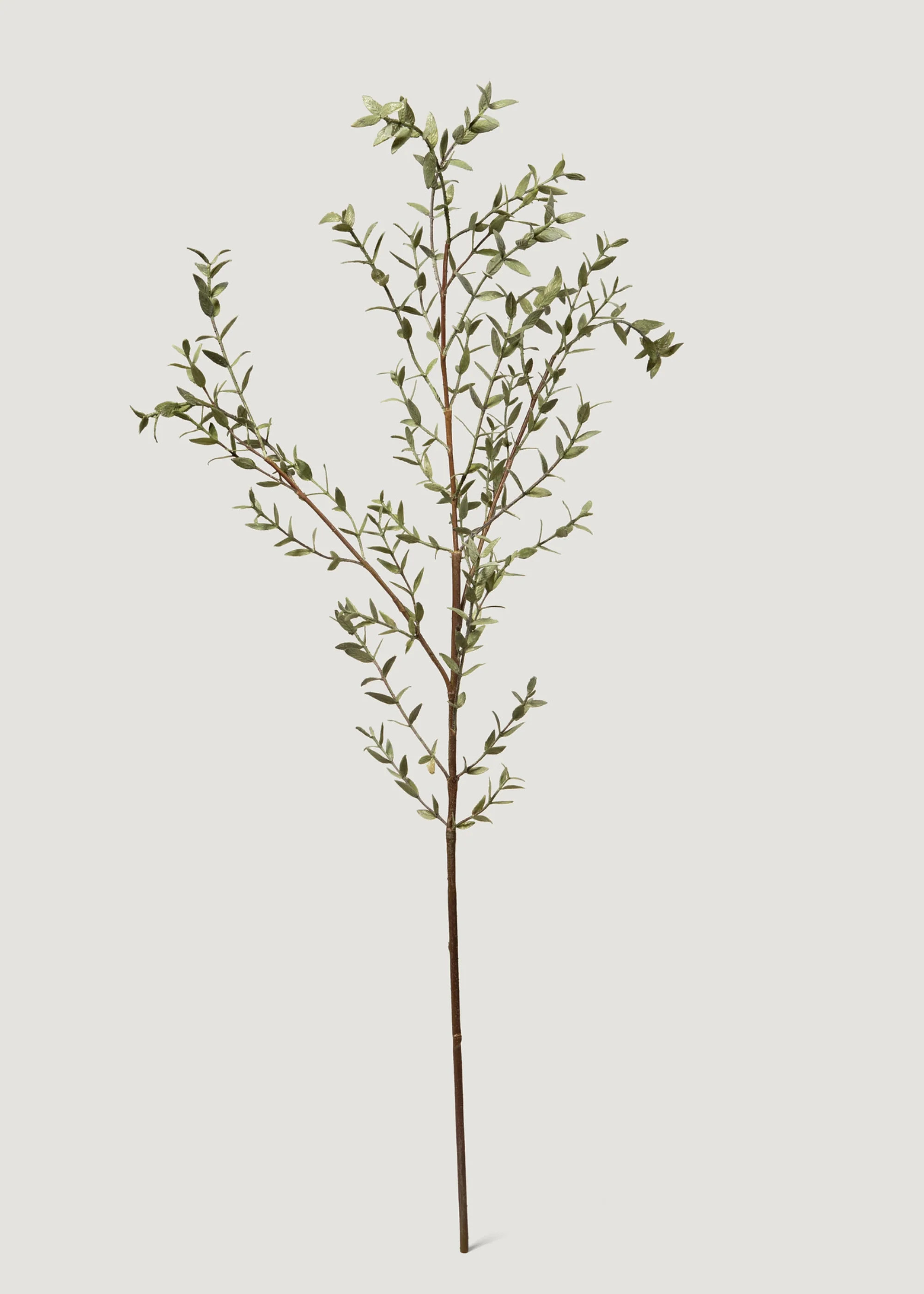 Eucalyptus Branch - 43" | Faux, Tall | Afloral | Afloral