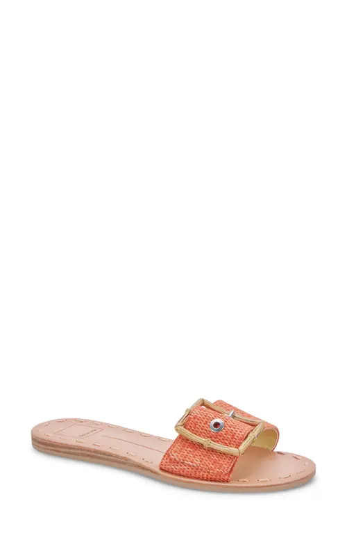 Dolce Vita Dasa Slide Sandal in Orange Raffia at Nordstrom, Size 7.5 | Nordstrom
